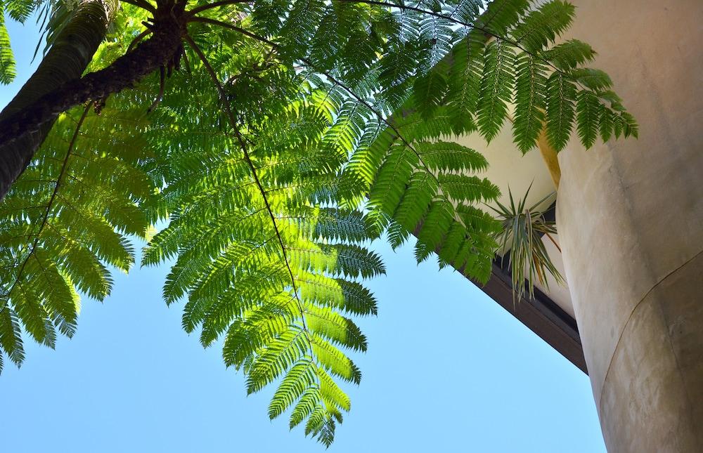 Villa San Michele Port Douglas Extérieur photo
